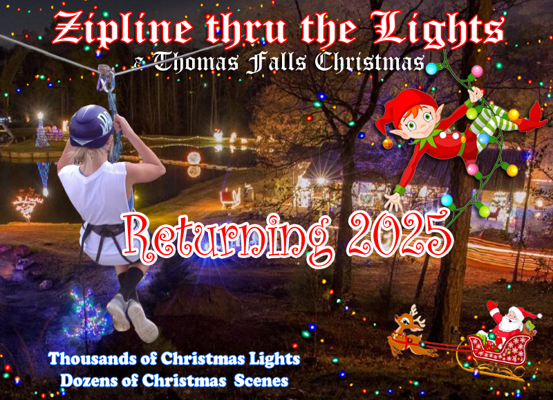 Zipline Thru The Lights